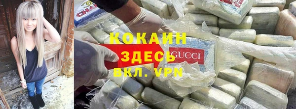 дмт Алексин
